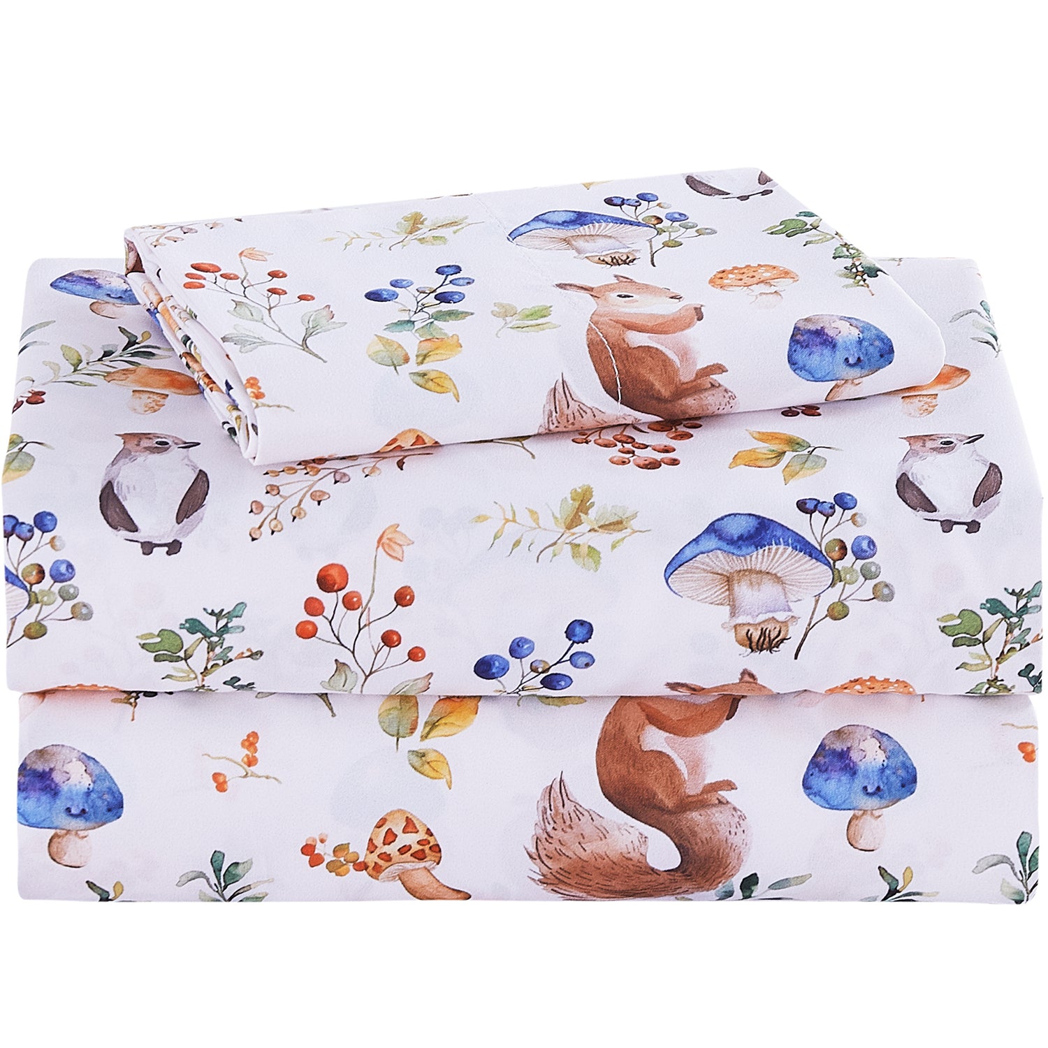 Oil Squirrel Kids Bed Sheet Set