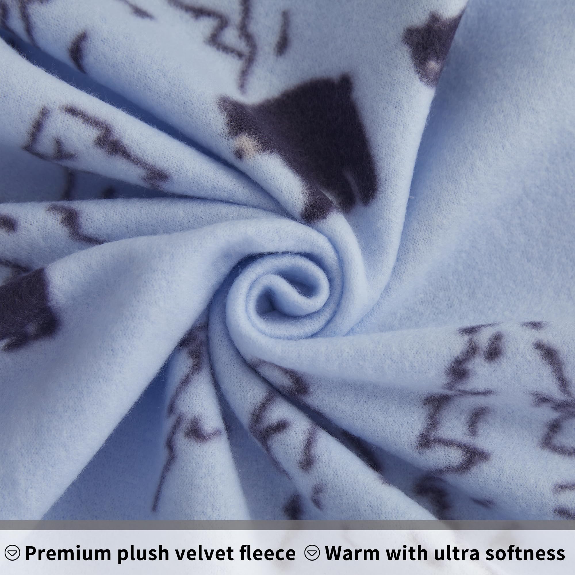 Blue Bear Printed Micro Fleece Bed Sheet Set