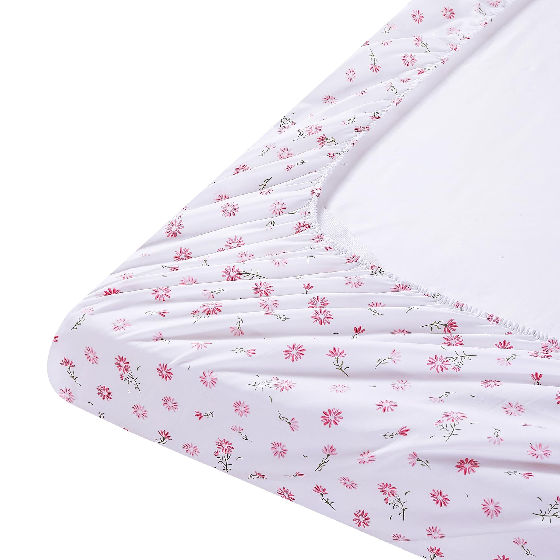 #Pink-Daisy-Garden
