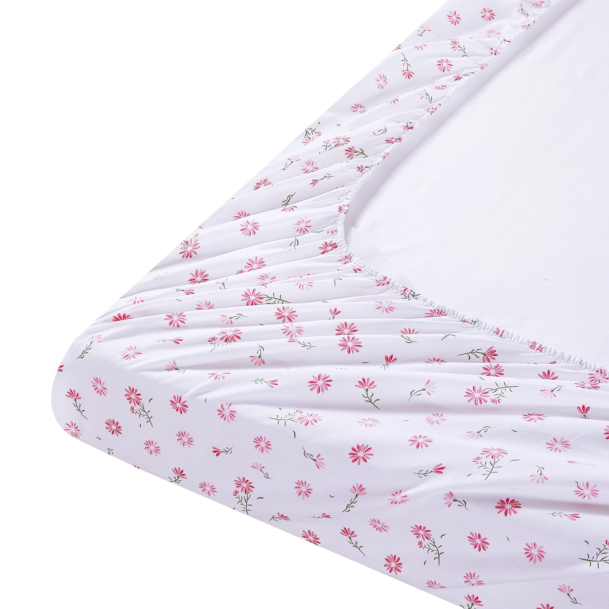 #Pink-Daisy-Garden