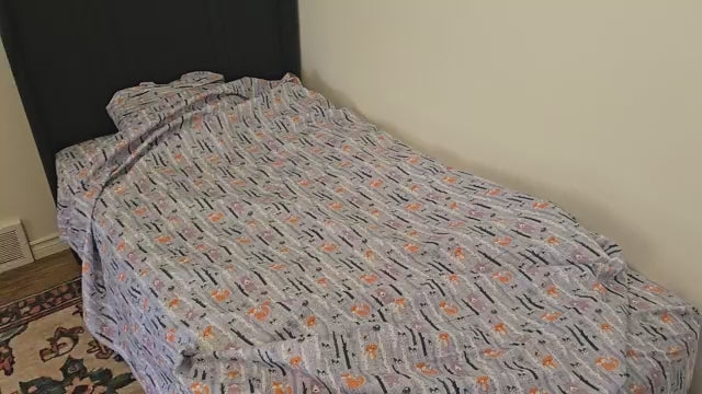Load video: Retro Train Kids Bed Sheet Set